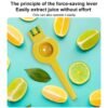 LsCook Aluminum Alloy Manual Dual Layers Lemon Juicer, Random Color Delivery