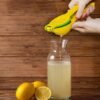 LsCook Aluminum Alloy Manual Dual Layers Lemon Juicer, Random Color Delivery