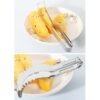 Creative Watermelon Melon Fruit Stainless Steel Cutter