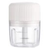 Household Vegetable Cutting Electric USB Garlic Masher Baby Mini Cooking Machine Baby Food Supplement Machine, 100ml, 250ml, 100ml + 250ml