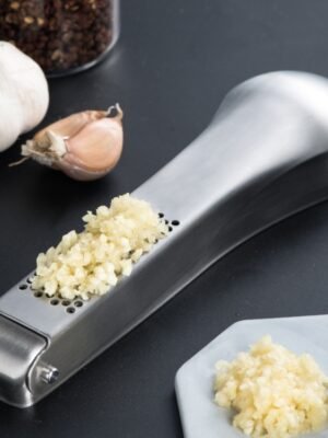 304 Stainless Steel Garlic Masher Ginger Garlic Manual Chopper